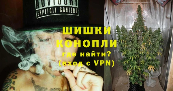 ALPHA PVP Гвардейск