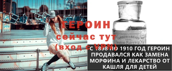 прущие грибы Гатчина