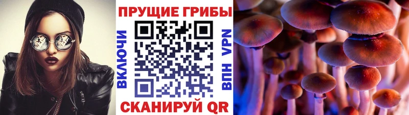 продажа наркотиков  Белогорск  Псилоцибиновые грибы мухоморы 