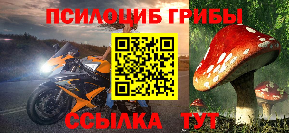Псилоцибиновые грибы Psilocybine cubensis Белогорск