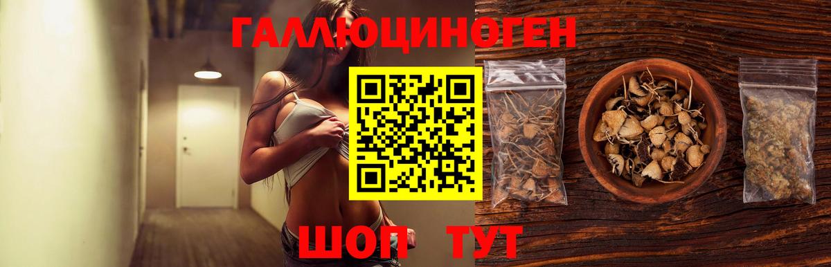 Белогорск  Псилоцибиновые грибы мицелий  Вход с VPN  Псилоцибиновые грибы GOLDEN TEACHER 