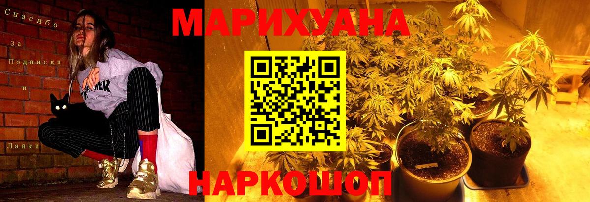 Бошки Шишки планчик  Канабис Ganja  МАРИХУАНА гибрид  Вход с VPN  Белогорск 